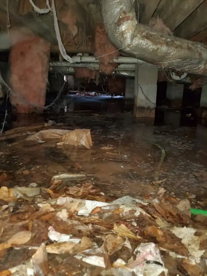 Crawl space flood assessment for Commercial Water Damage Restoration in Carmel